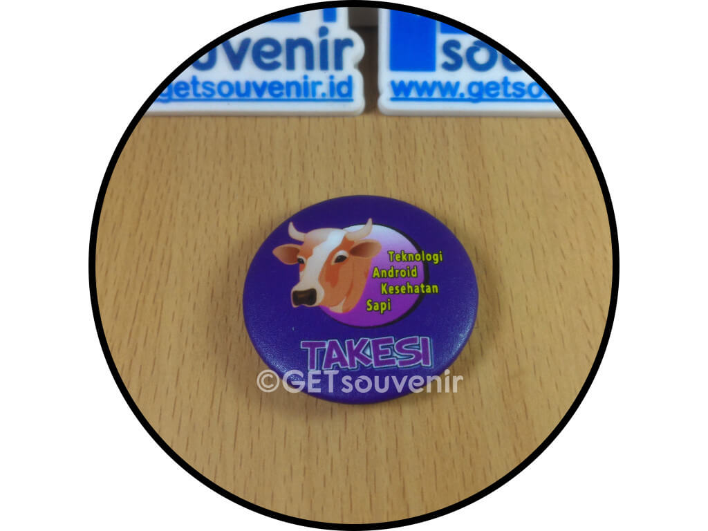 PIN PENITI