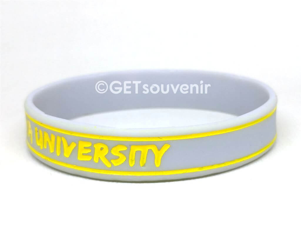 SRIWIJAYA UNIVERSITY
