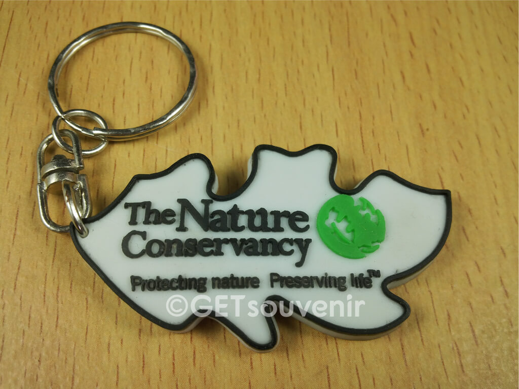 THE NATURE CONSERVANCY
