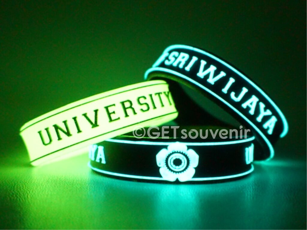 UNIVERSITAS SRIWIJAYA