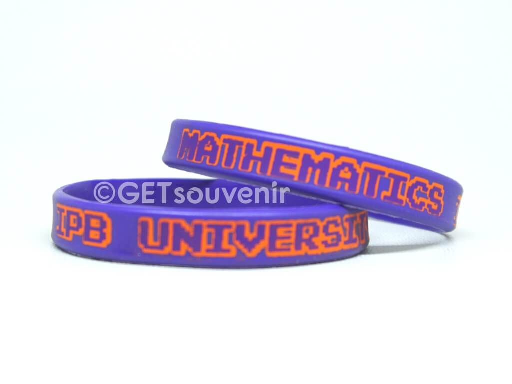 IPB UNIVERSITY MATHEMATICS